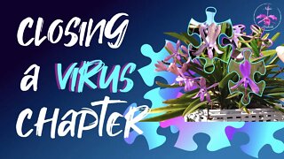Virus analysis WITHOUT a test kit 🦠 | Symptoms | Adjustments | Observations | Final Result 🦠