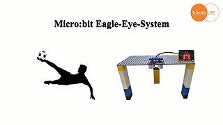 micro:bit + Toy - Eagle Eye System