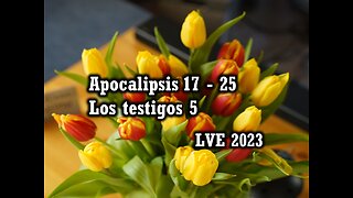 Apocalipsis 17 - 25 - Los testigos 5