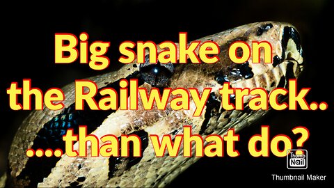 Anaconda snake on the railway track......than what do?