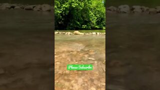 Enjoy the soothing sounds of the San Marcos river. ASMR #shorts