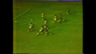 Santa Cruz em 1984 - Gols no Campeonato Brasileiro, Torneio Heleno Nunes e Campeonato Pernambucano