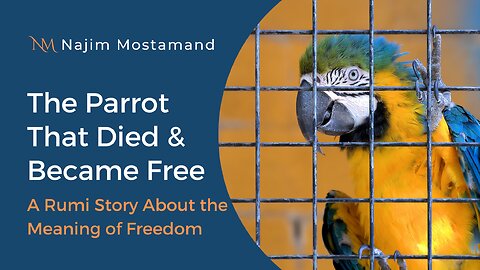 The Parrot That Died and Became Free – A Rumi Story on the True Meaning of Freedom
