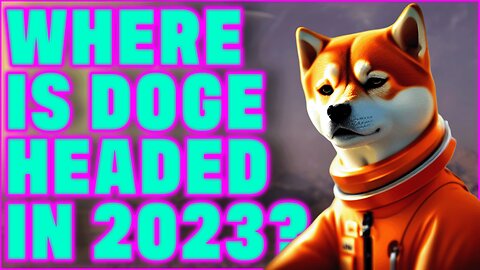 🚀2023 Dogecoin Update! (SpaceX Moon Mission & More!)🚀