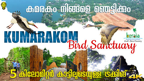 Kumarakom Bird Sanctuary in Kottayam, Kerala, India | Kerala Tourism | Ramesh & Suresh Vlogs