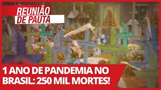 1 ano de pandemia no Brasil: 250 mil mortes! - Reunião de Pauta nº 673 - 25/02/21