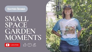 Small Space Garden Moments | No Talk Video