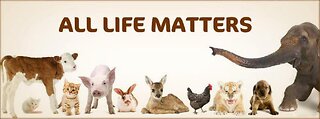 Animal Welfare Worldwide