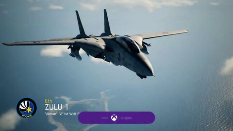1st time Buying F14 in Ace Combat 7 1st time PvP Battle Royal