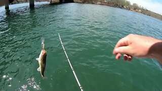 Lake Keowee Fishing Report March 2020
