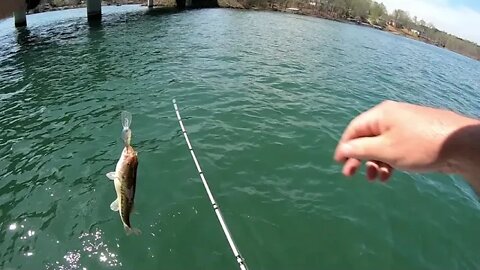 Lake Keowee Fishing Report March 2020