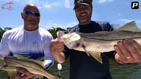 Tampa Bay Snook fishing with Sponsors from Pike Group!