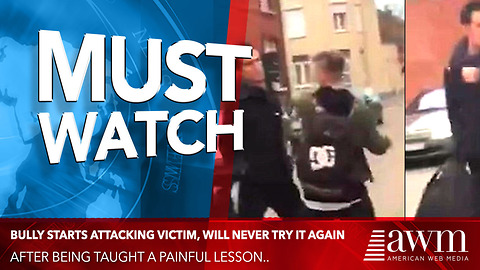 Bully Starts Attacking Victim, Will Never Try It Again After Being Taught Painful Lesson