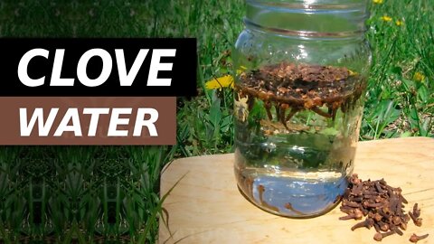 Drink Clove Water For These Amazing Benefits
