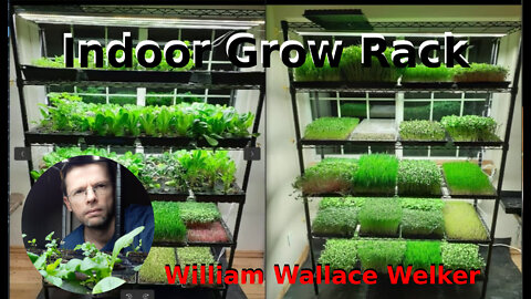 Indoor Microfarm