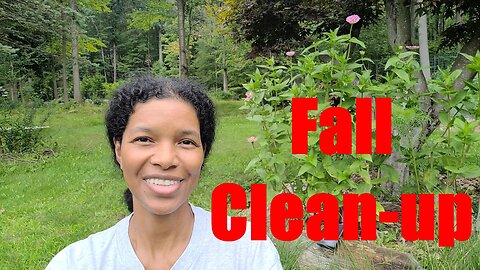 Clean-up for Fall Garden