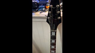 Custom 3D printed truss rod cover?