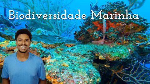 Biodiversidade Marinha