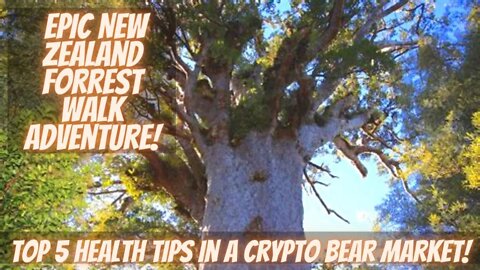Epic New Zealand Forest Walk Adventure! Top 5 Health Tips In A Crypto Bear Market!