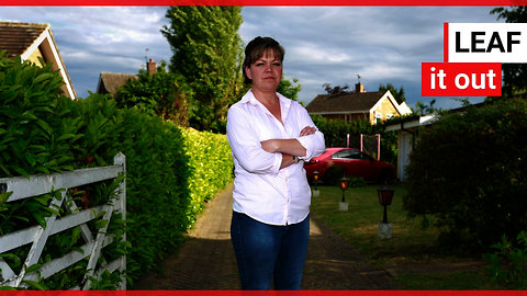 Two warring neighbours call police over a hedge