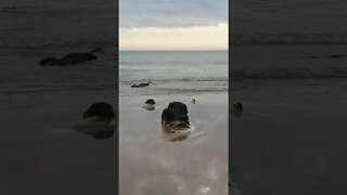 Birling Gap beach Eastbourne England