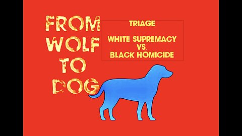 TRIAGE - WHITE SUPREMACY VS. BLACK HOMICIDE