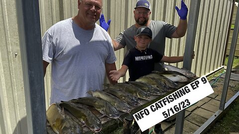 NFO CATFISHING EP 9