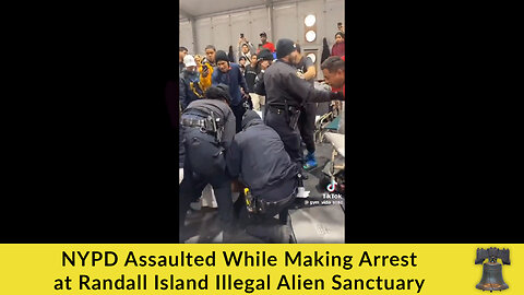 NYPD Assaulted While Making Arrest at Randall Island Illegal Alien Sanctuary