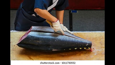 Tuna Fish Cutting Skill