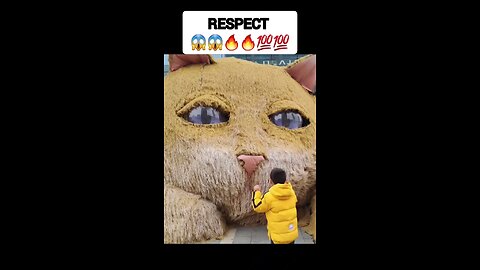 Respect video