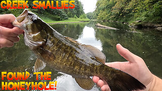 PA Smallies in Crystal Clear Creek