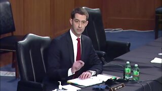 Cotton to Biden Nominee: “Against which races do you harbor racial bias?”