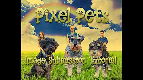 Pixel Pets Image Submission Tutorial