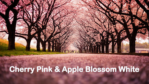Cherry Pink & Apple Blossom White