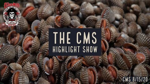 8/15/20 - The CMS Highlight Show