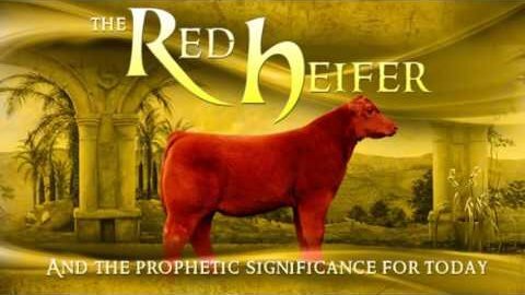 RED HEIFER CONFERENCE in ANCIENT SHILOH- Information for Christians- 3 28 2024