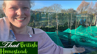 Planting the Winter Allotment