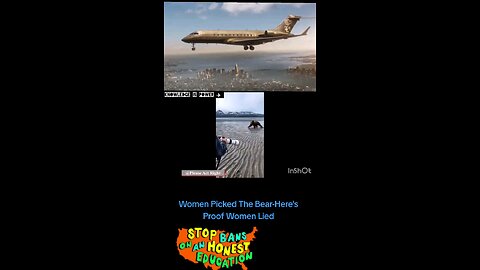 Women Picked The Bear-Here's Proof Women Lied ✈️