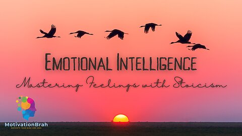 Emotional Intelligence 101: Mastering Feelings with Stoicism