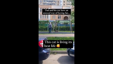 Just a cat at the park with his Dad #Cats