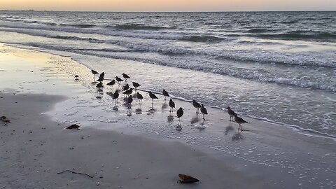 Sunrise 11/21/23 Tampa Bay