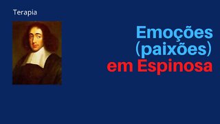 As emoções em Espinosa