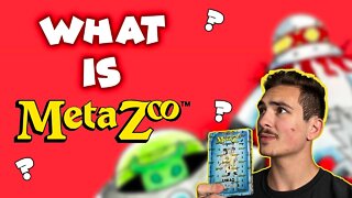 MetaZoo for Beginners