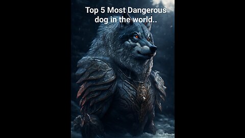 Top 5 Most Dangerous Dog Breeds in the World