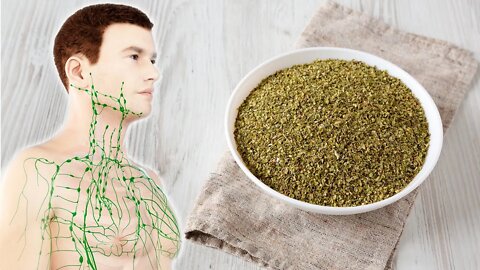 The Many Health Benefits of Oregano and How to Use It