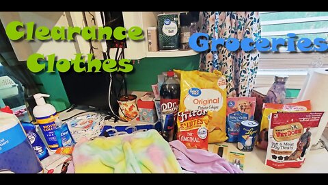 Walmart Haul / Aldi Haul / Dollar Tree Haul |Family of 5|