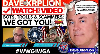 The Spammers & Scammers as Fake Channel Operators, Bots, Trolls -> We Got You - Must Watch