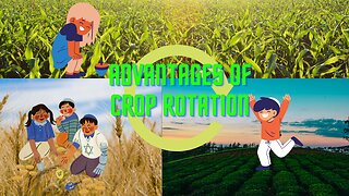 Advantages of crop rotation