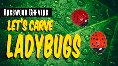 Let's Wood Carve Ladybugs - Wood Carving Beginner Projects