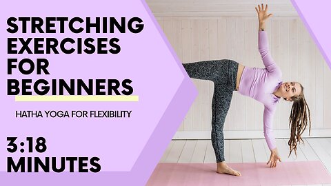 Stretching Exercises For Beginners: Health Fitness, Flexibility, Exercise